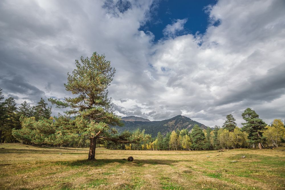 Photograph by Натали Воскресенская