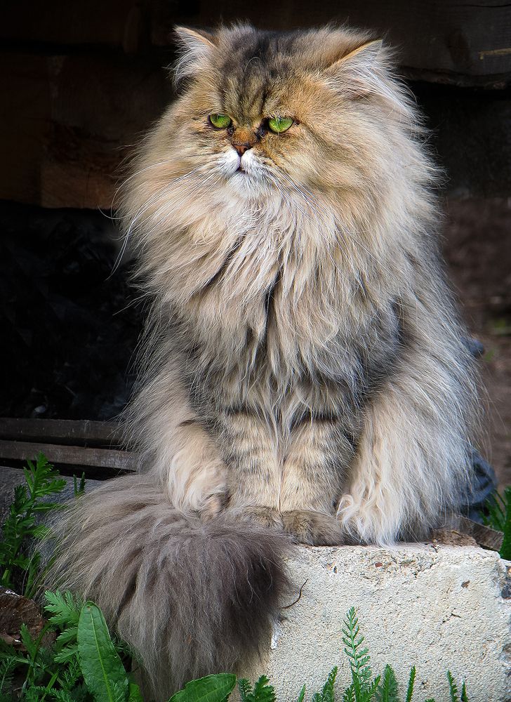 Photograph by Алексей Окунеев