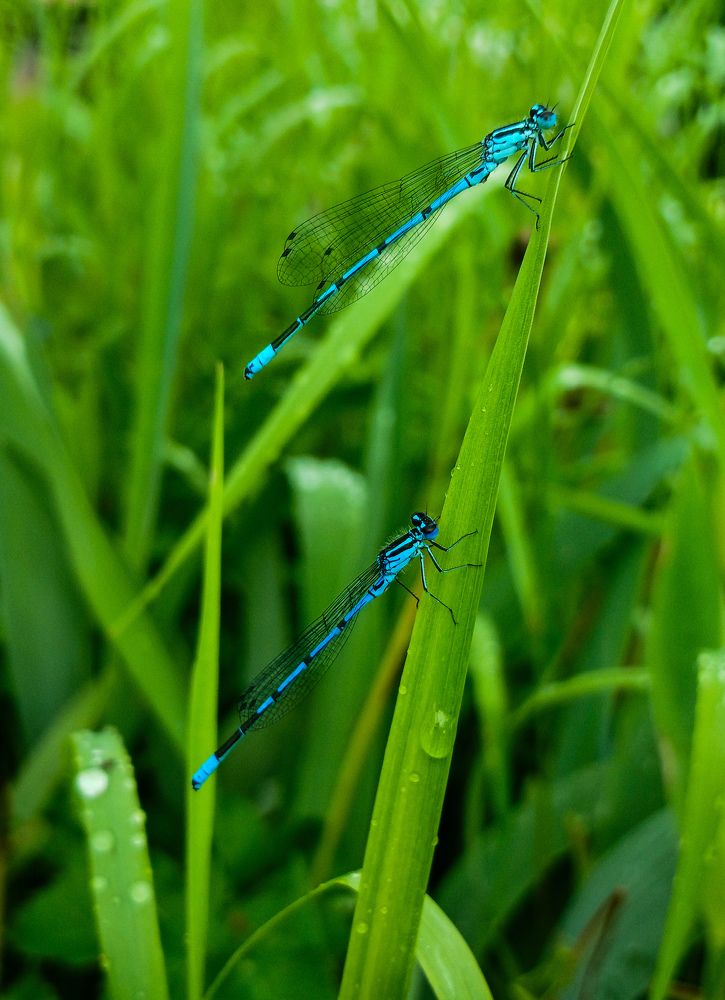 Фотография автора Валерия