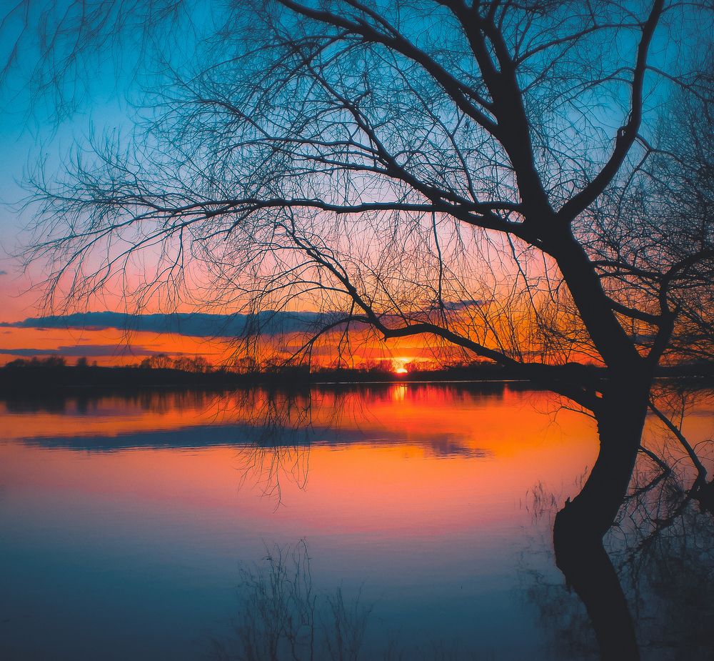 Photograph by Denis Romanov