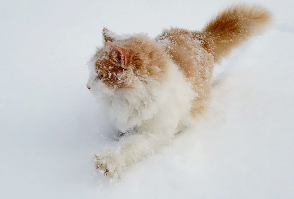 Photograph by Виктор Решетников