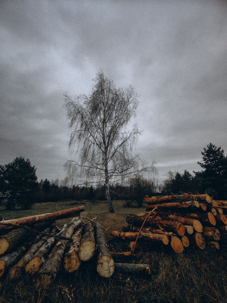 Фотография автора Ольга Панасюк