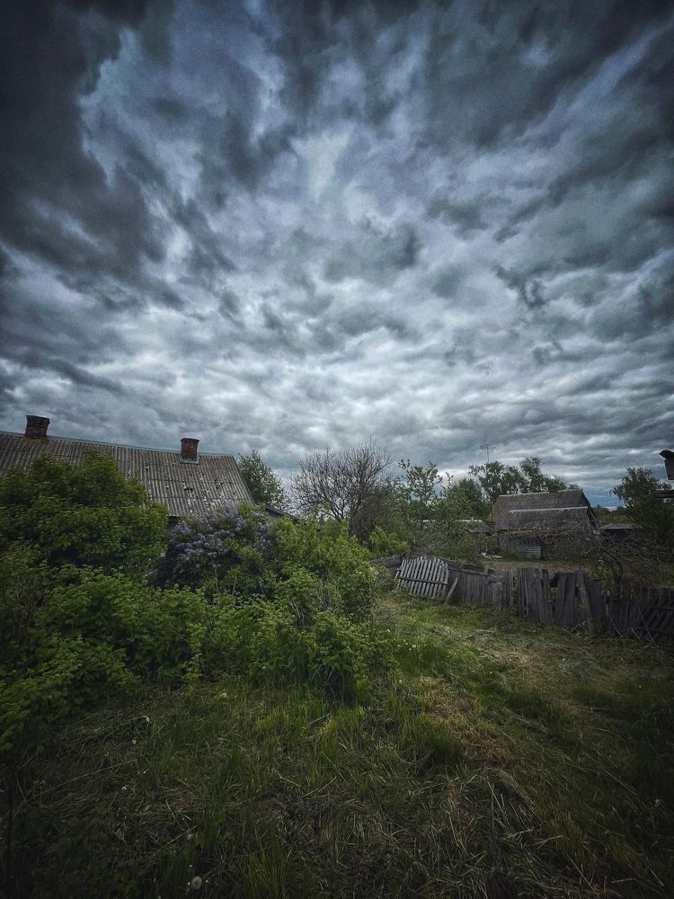 Photograph by Roman Savitskiy