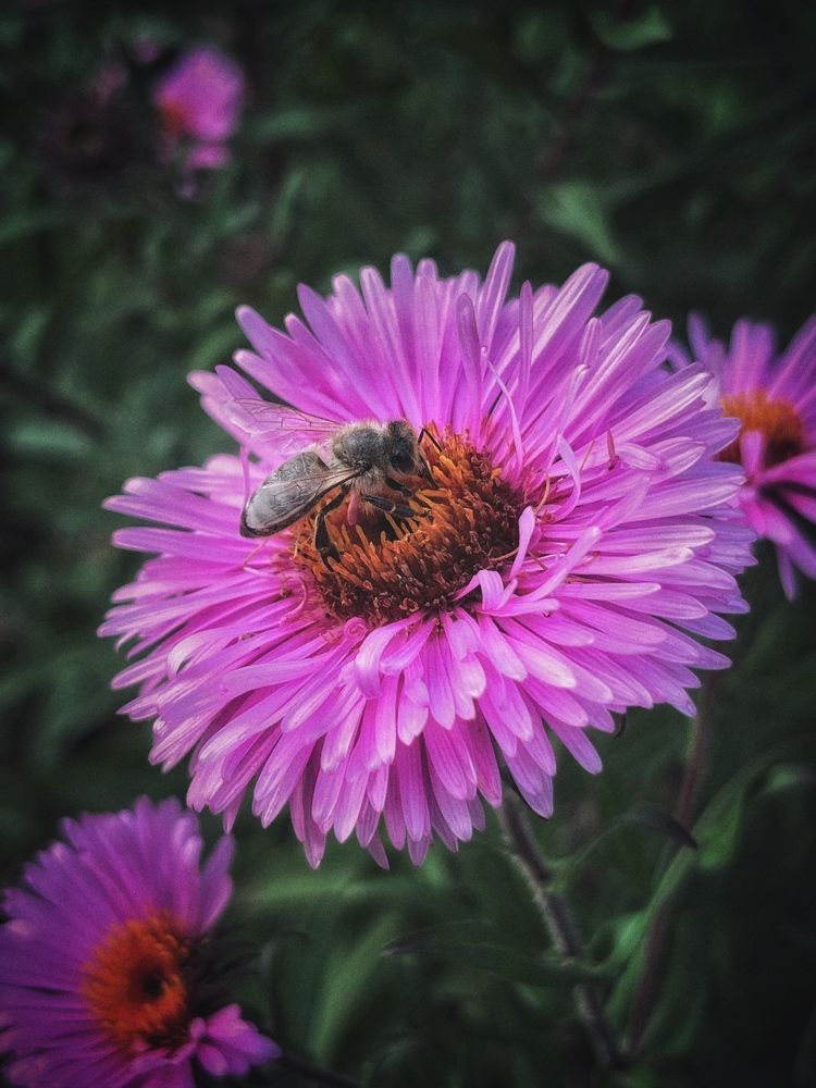 Photograph by Roman Savitskiy