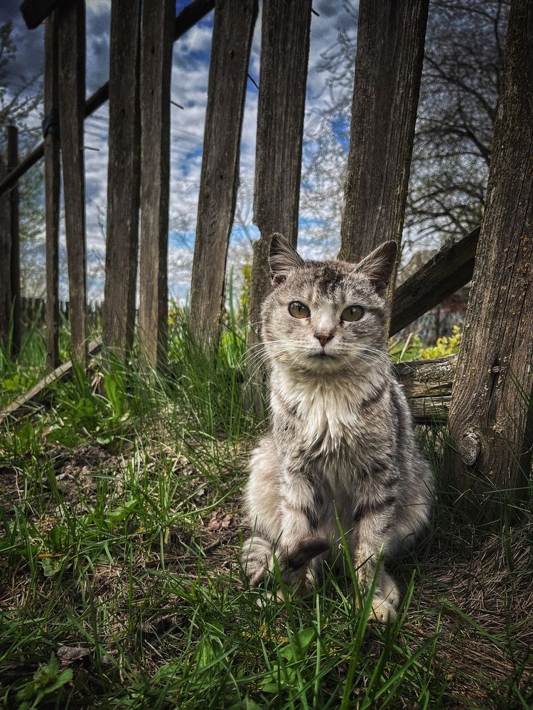 Photograph by Roman Savitskiy