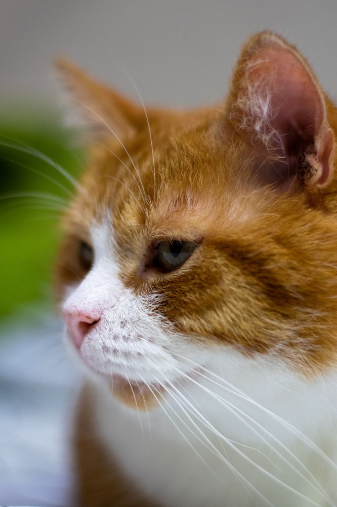 Photograph by Nora Cheprasova