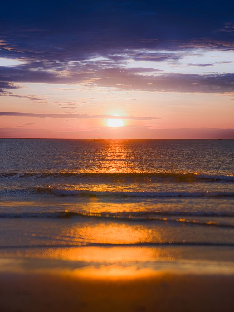 Photograph by Kevin Nguyen