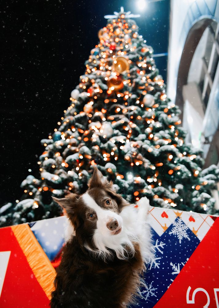 Photograph by Анна Тюрина