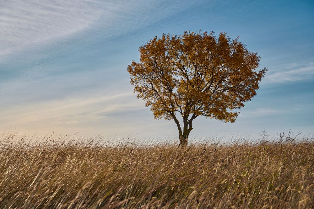 В раздумьях