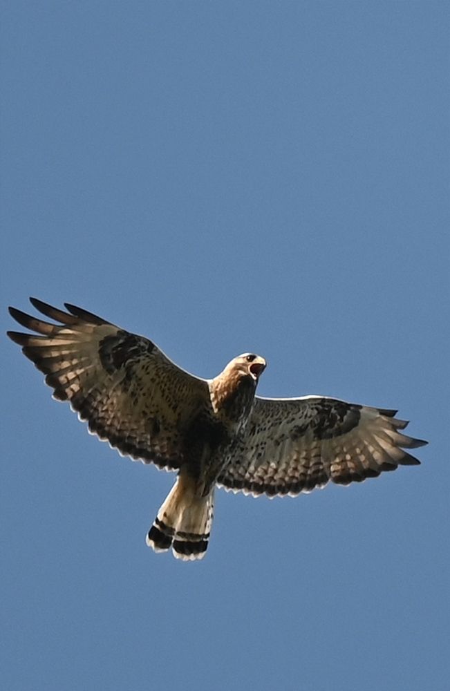 Photograph by Егор Кондратьев