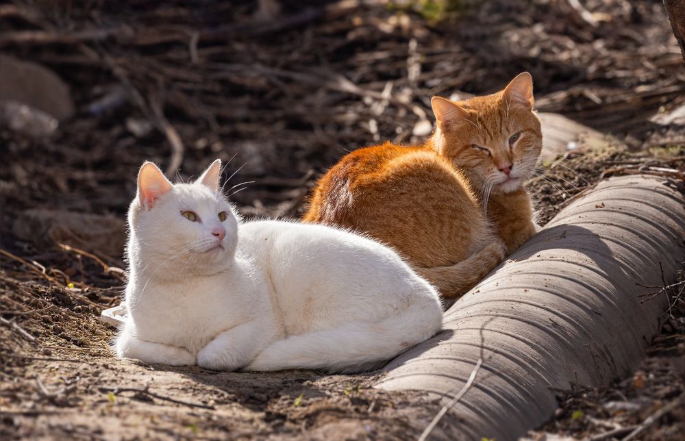 Photograph by Дмитрий Макинский