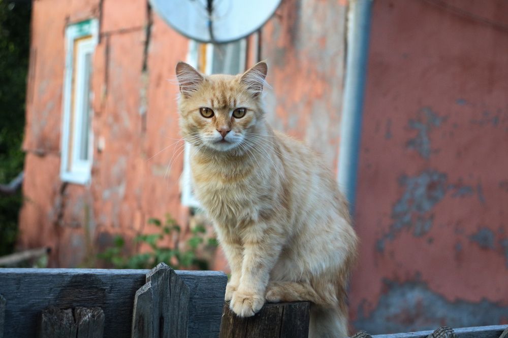 Фотография автора Kateryna