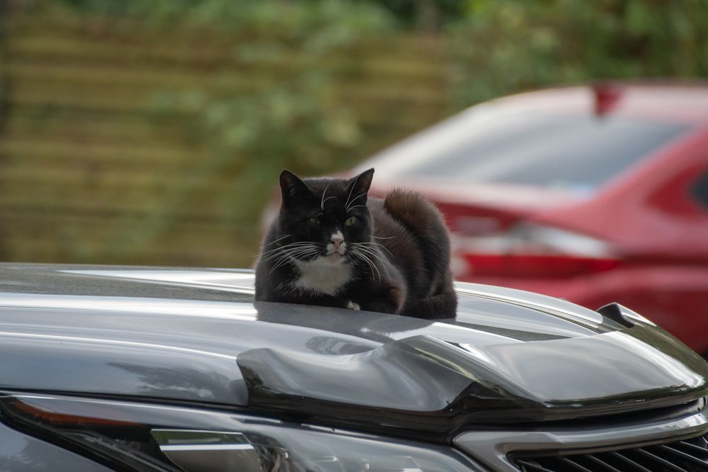 Photograph by Олег Волков