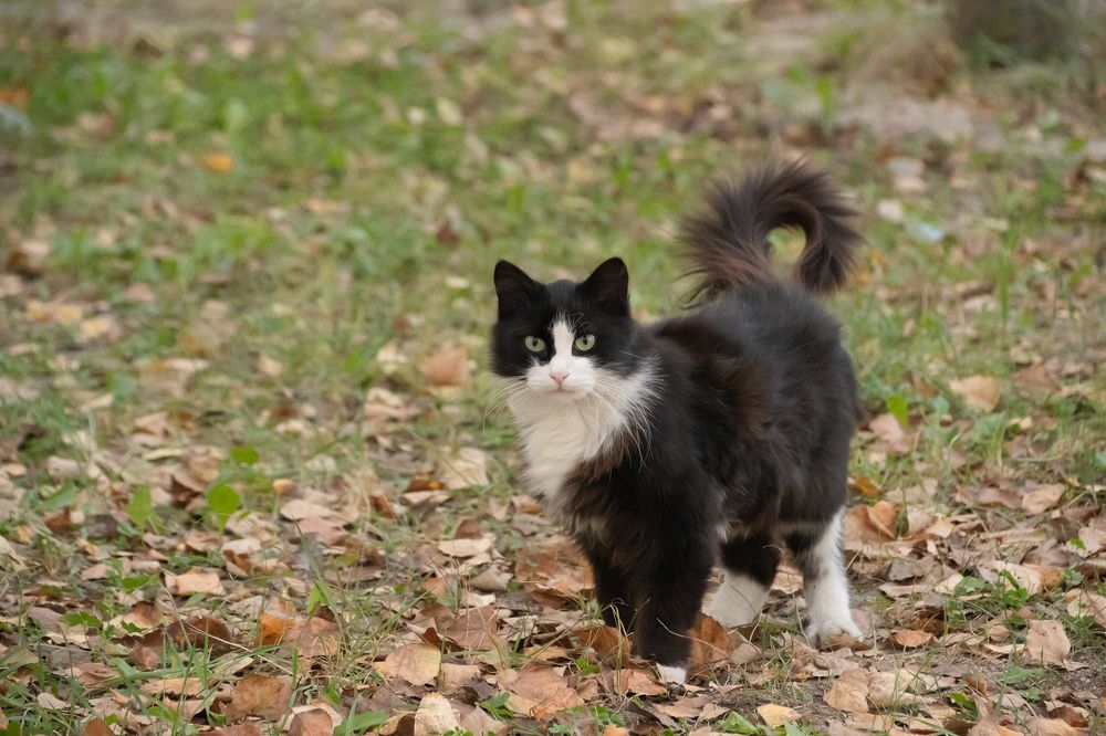 Photograph by Олег Волков