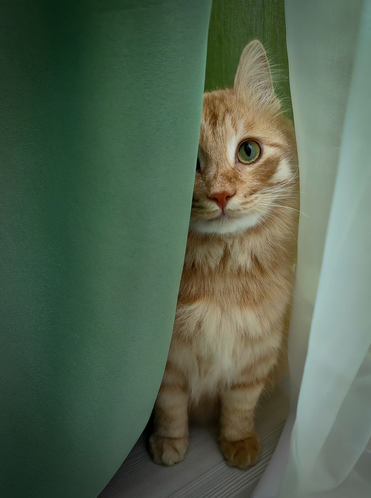 Фотография автора Надежда Барышева