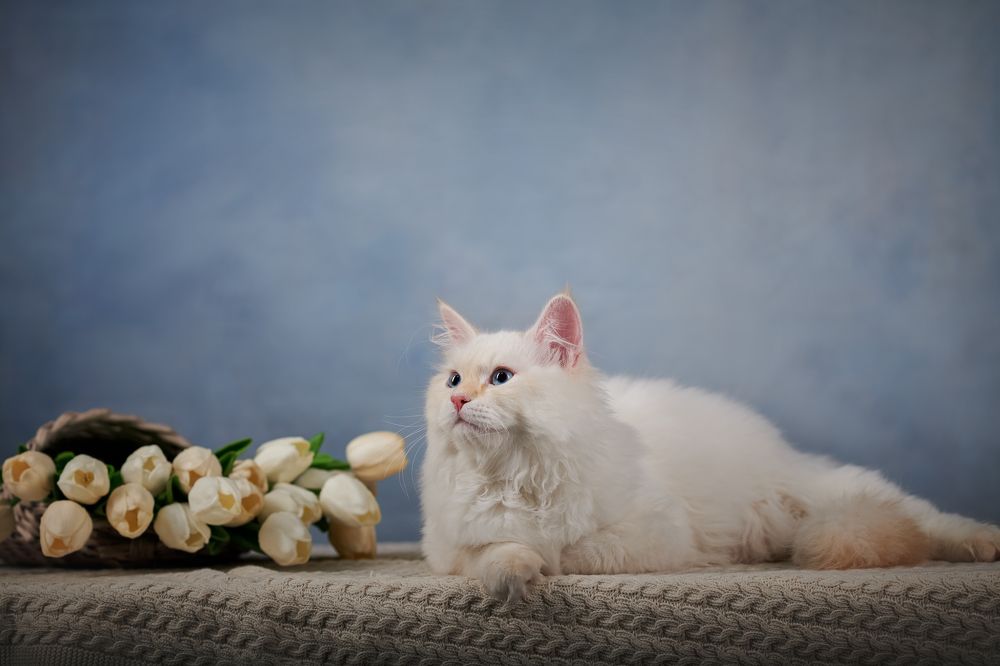 Photograph by Ирина Оболенская