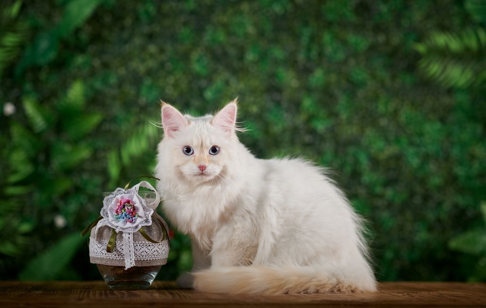 Photograph by Ирина Оболенская