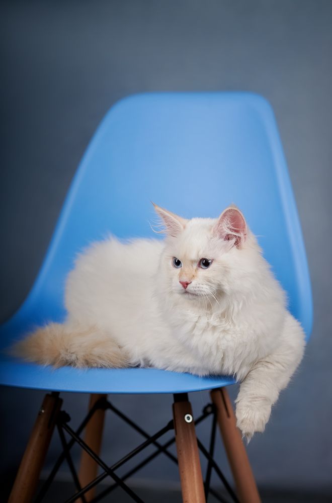 Photograph by Ирина Оболенская