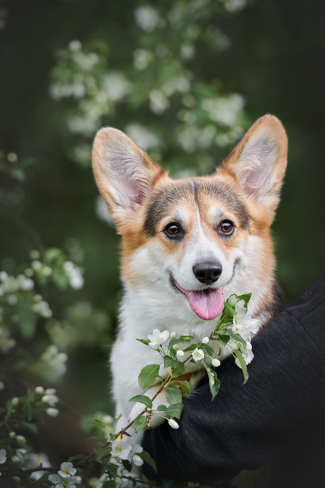 Photograph by Ирина Оболенская