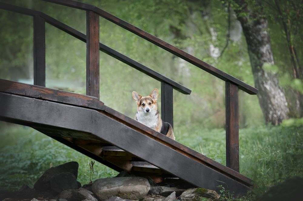 Photograph by Ирина Оболенская