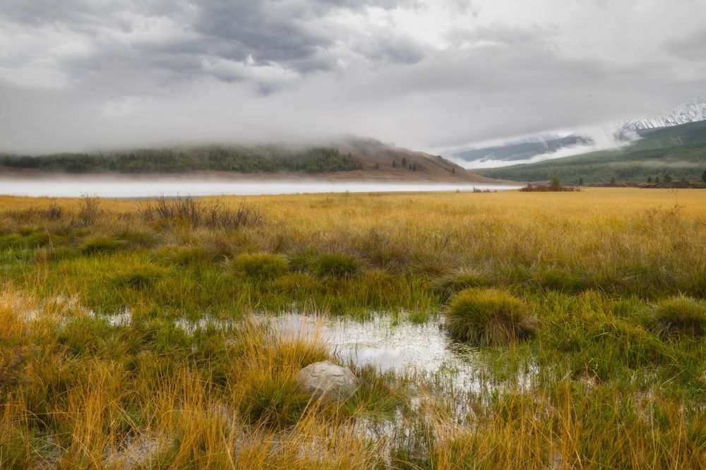 Photograph by Tatiana Meshcheryakova