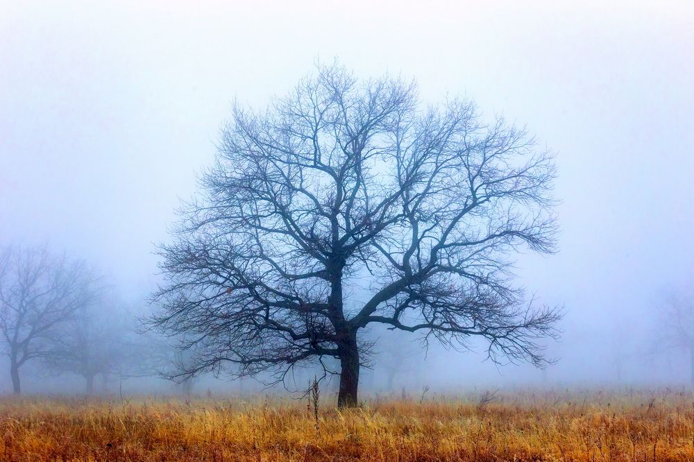 Photograph by Владимир Акиньшин