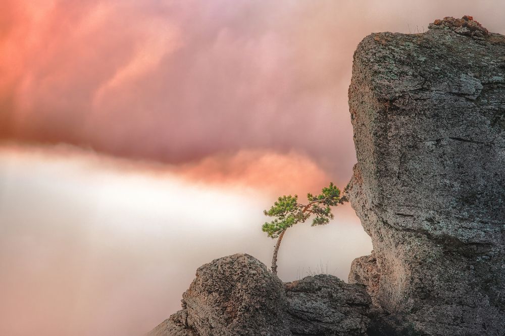 Photograph by Наталия Полякова