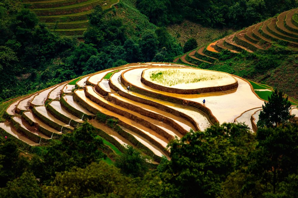 Photograph by Trần Duyệt