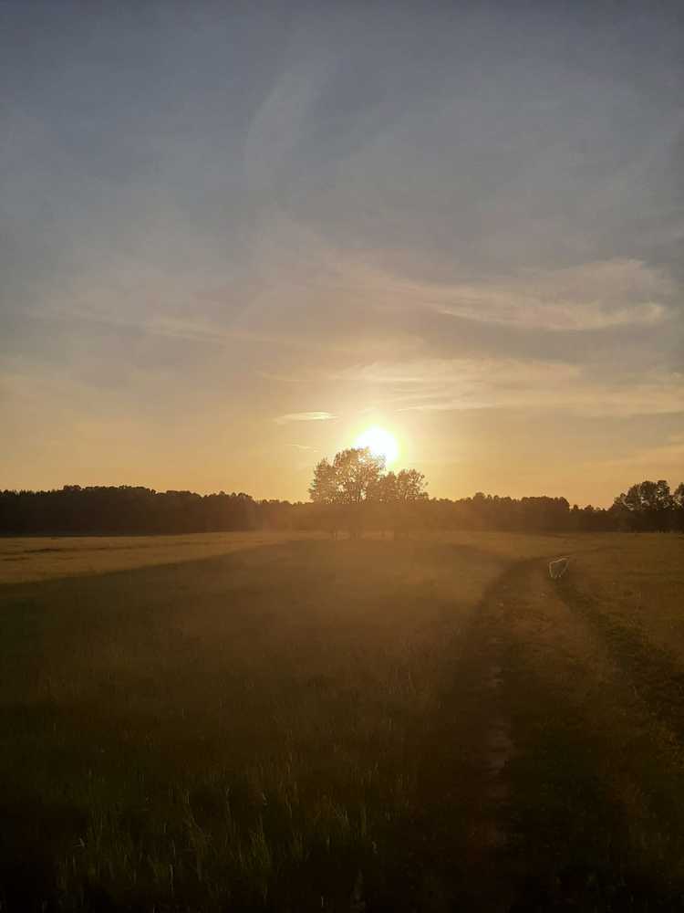 Photograph by Наталья БАЛАБАЕВА