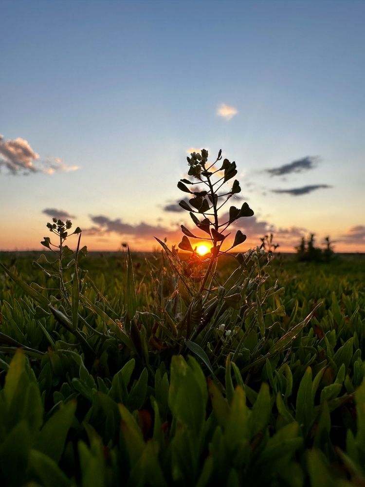 Photograph by Елена Коновницына