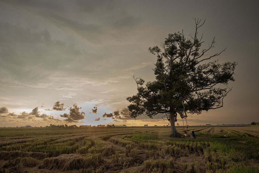 Photograph by Weng Soon Yong