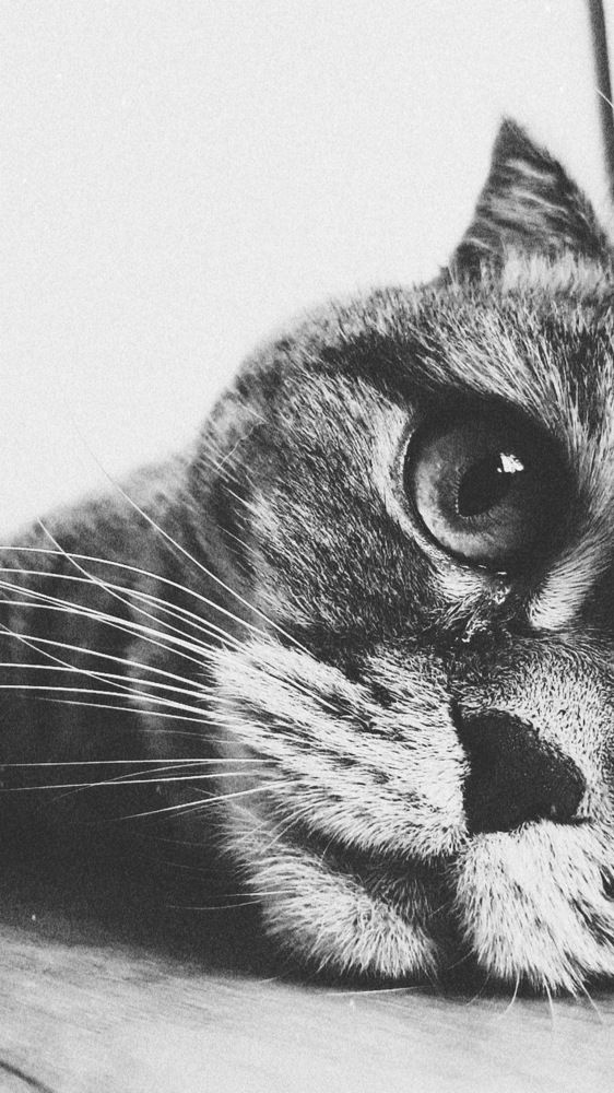 Photograph by Olessia Kh