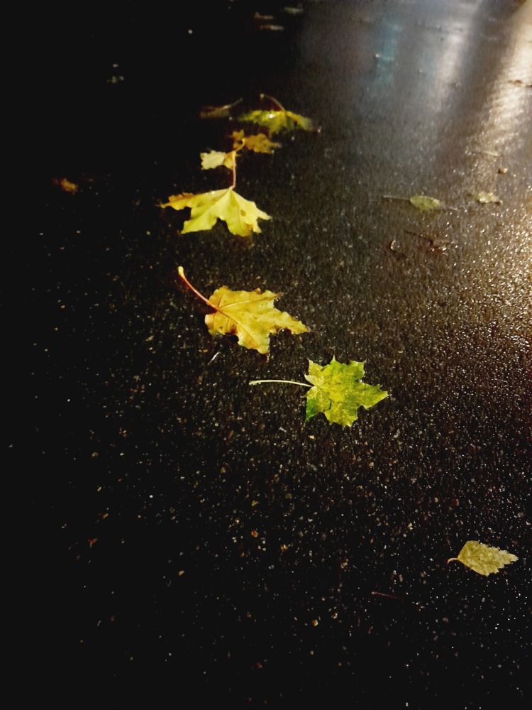Autumn Waltz.
