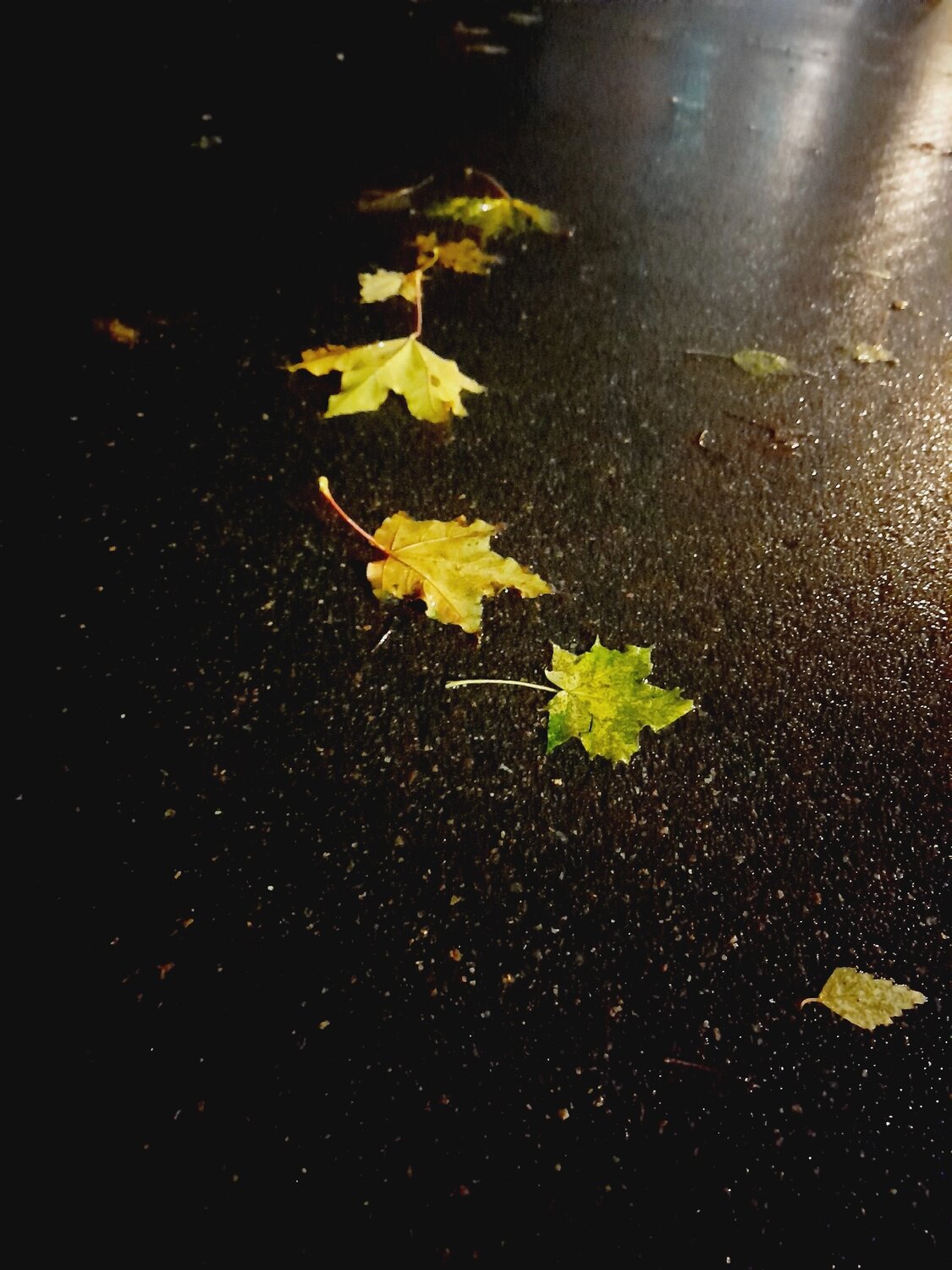Autumn Waltz.