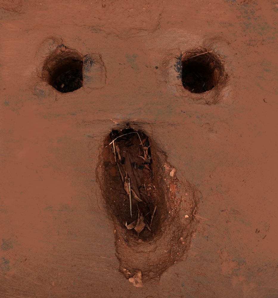 Photograph by Debasish Sen