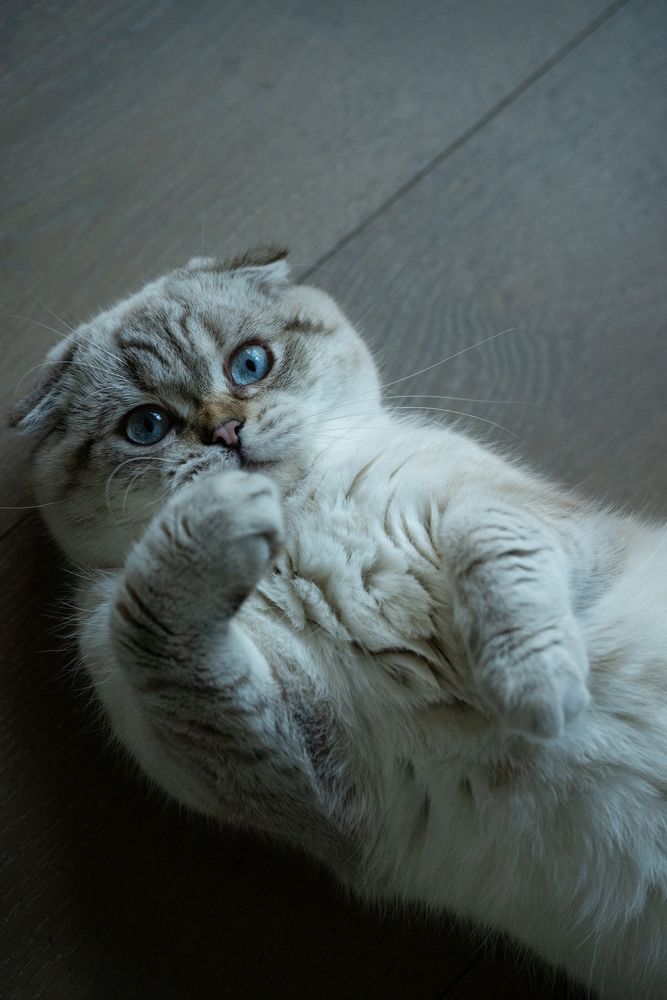 Photograph by Anna Vlasova