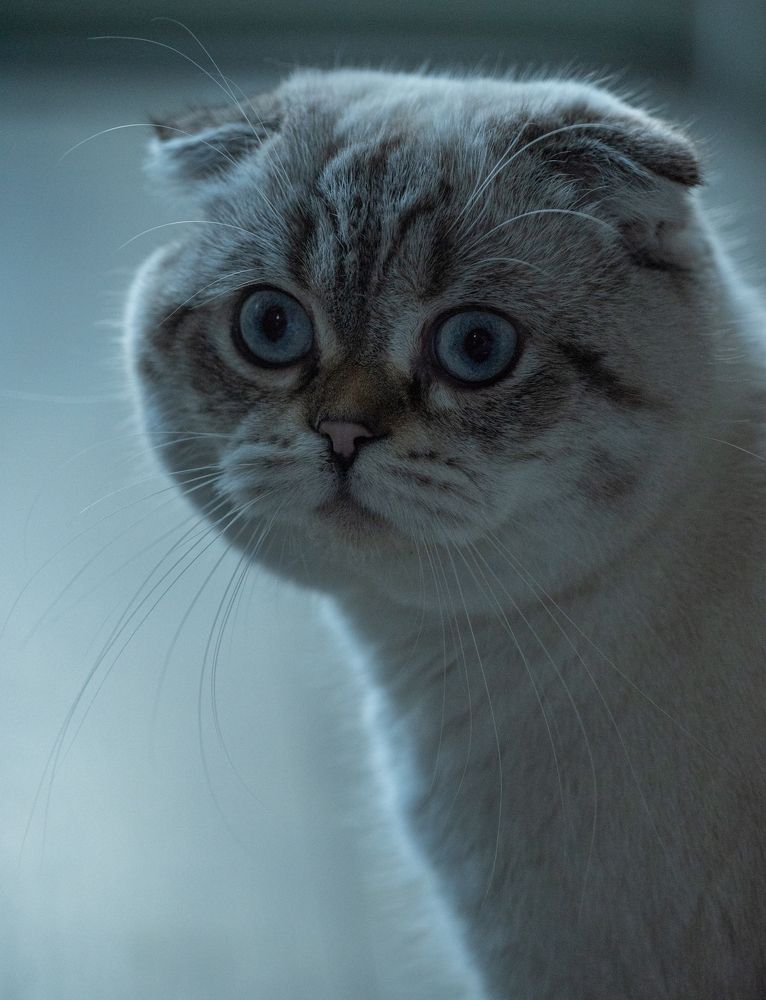 Photograph by Anna Vlasova