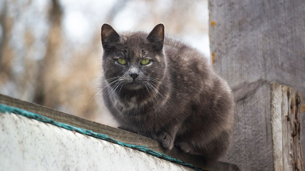 Photograph by Alexander Eliseev