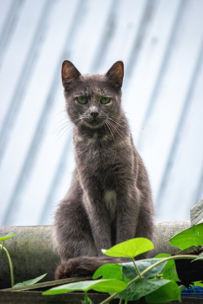 Photograph by Alexander Eliseev