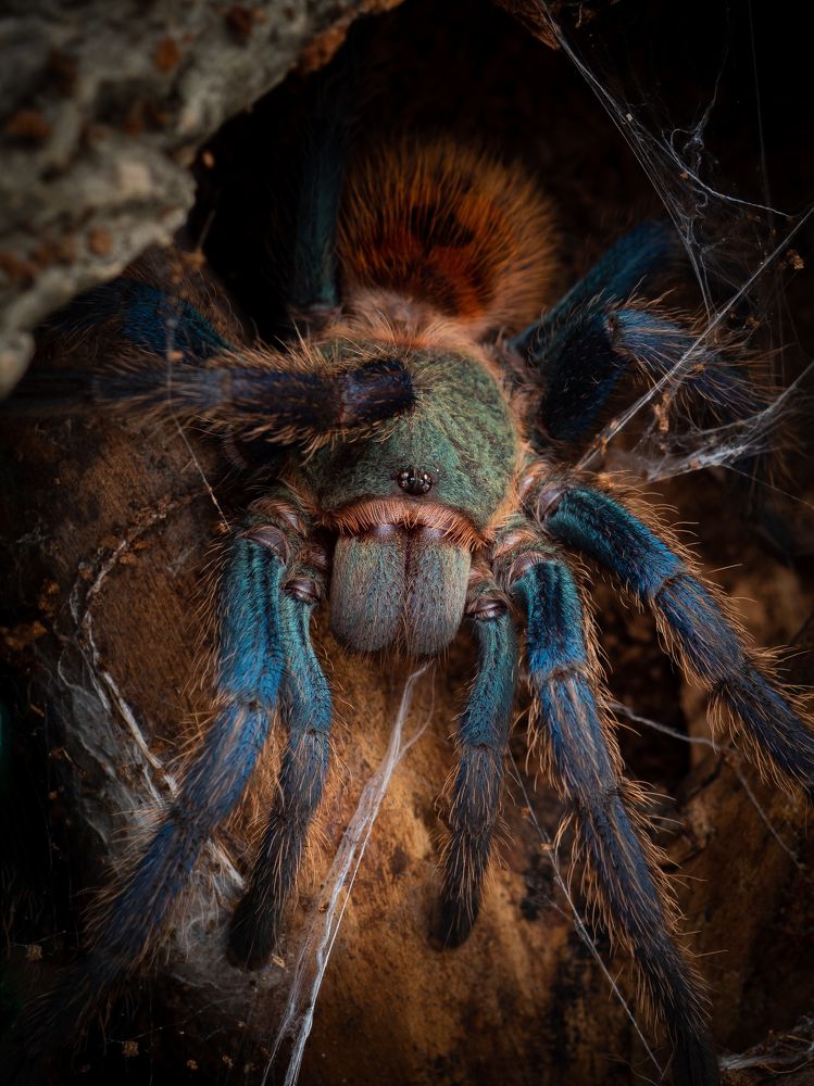 Photograph by Юрий Говорков