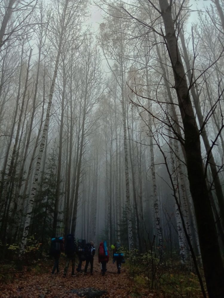 Photograph by Анастасия Чадина