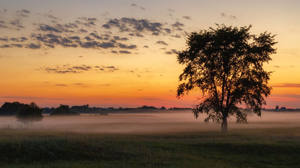 Photograph by Alexander Eliseev