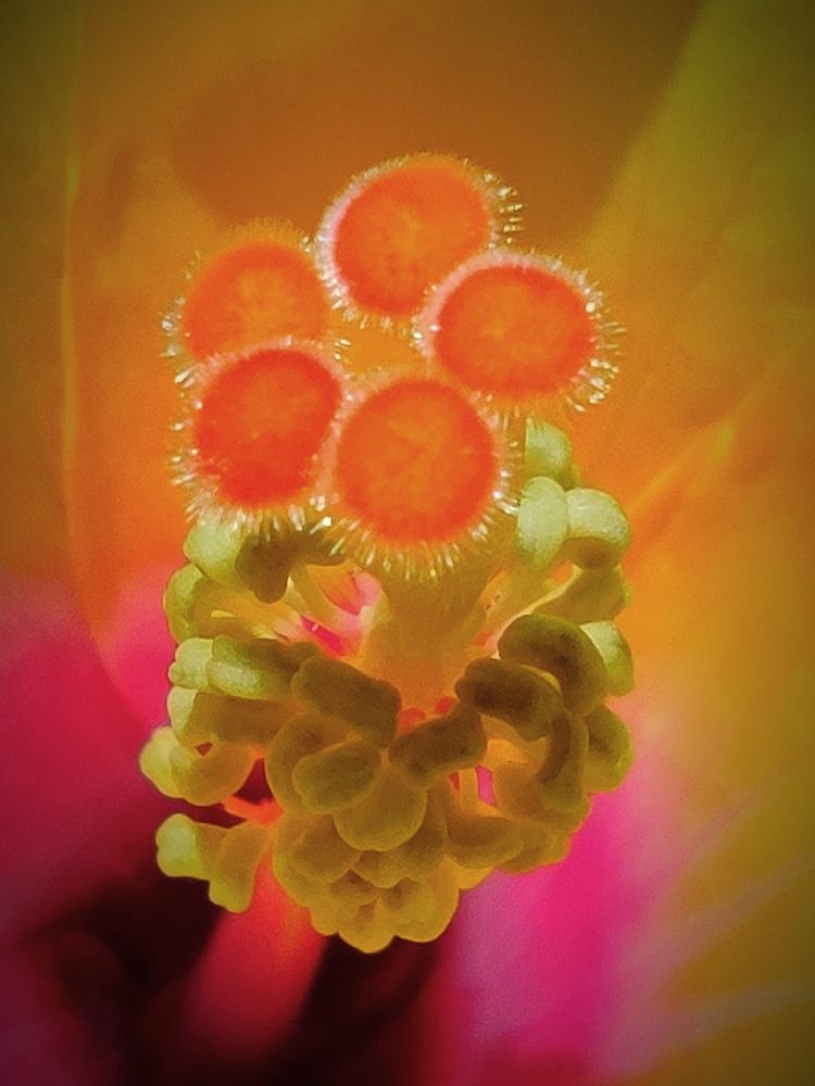 Photograph by JONATHAN VALDEZ