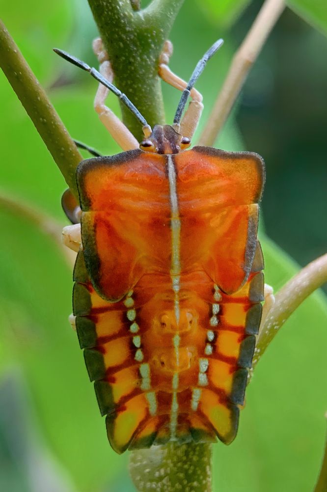 Photograph by Lesly Grace Advincula