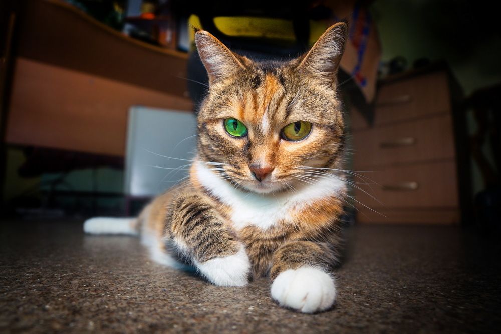 Photograph by Владимир Акиньшин