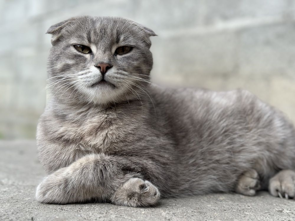 Photograph by Елена Солодовник