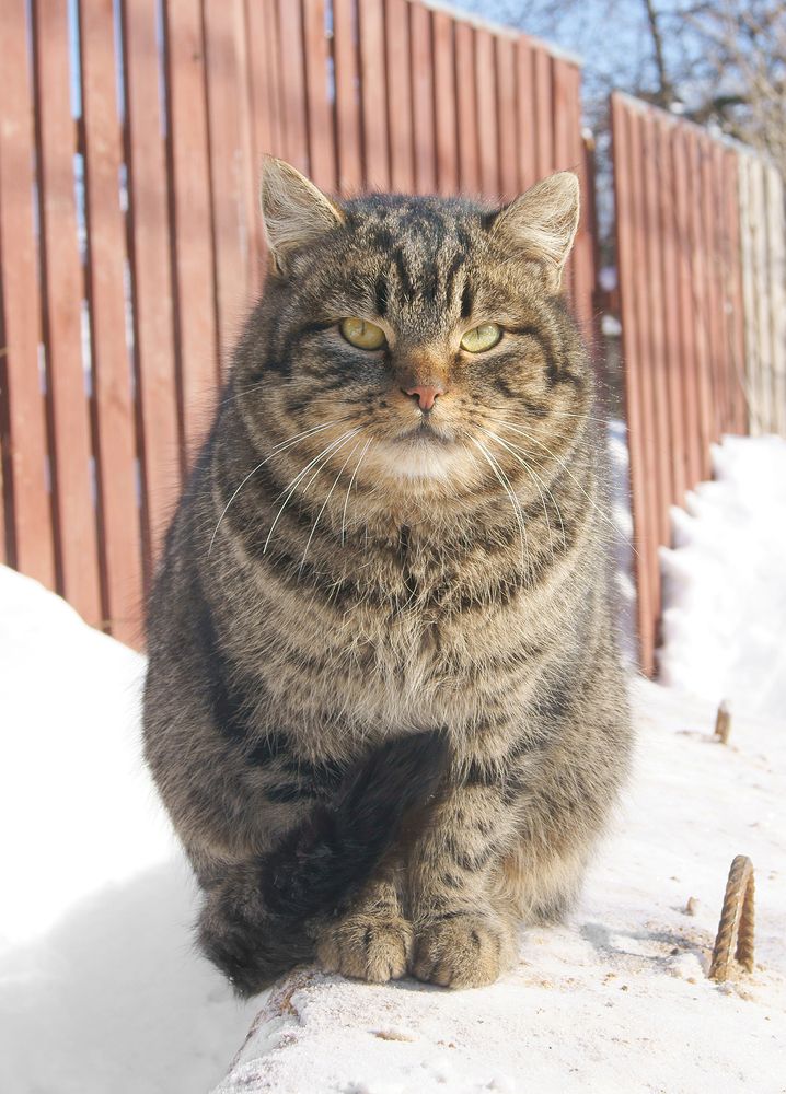 Photograph by Valeriya