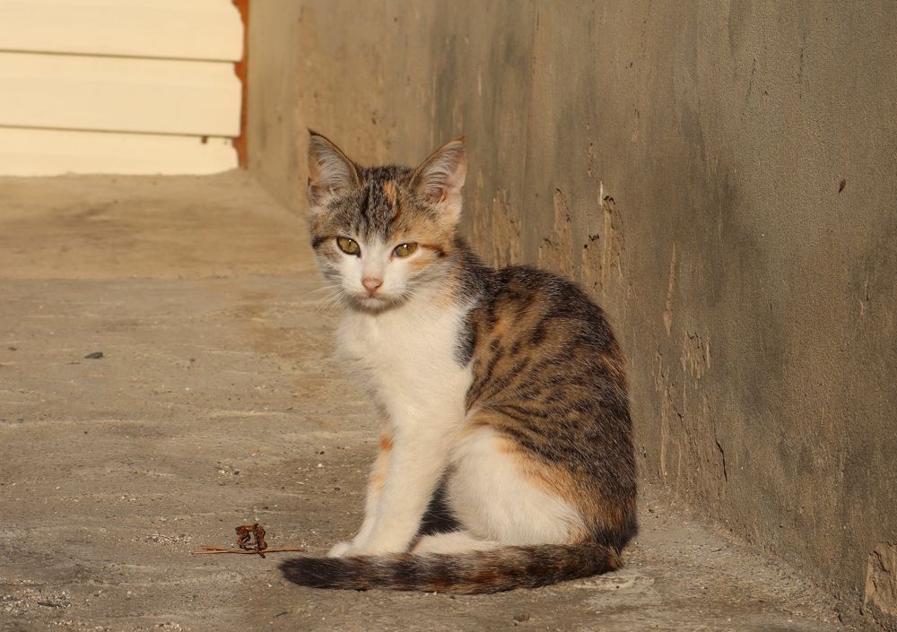 Photograph by Irina Alexandrova