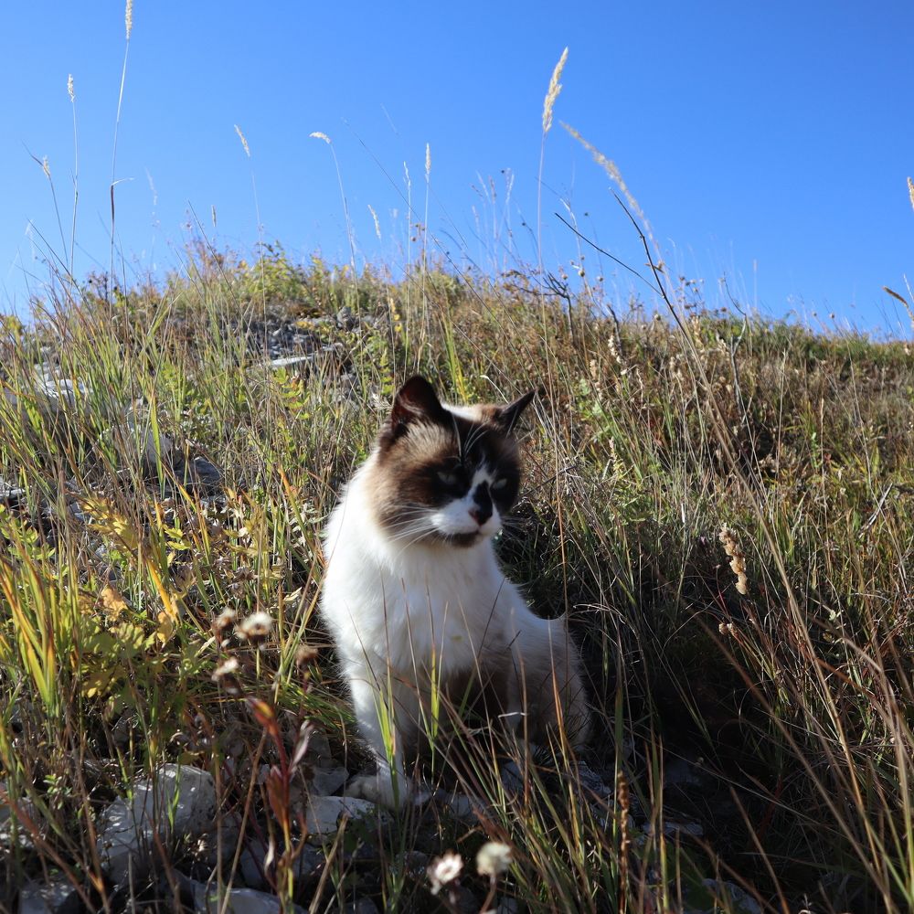 Photograph by Irina Alexandrova