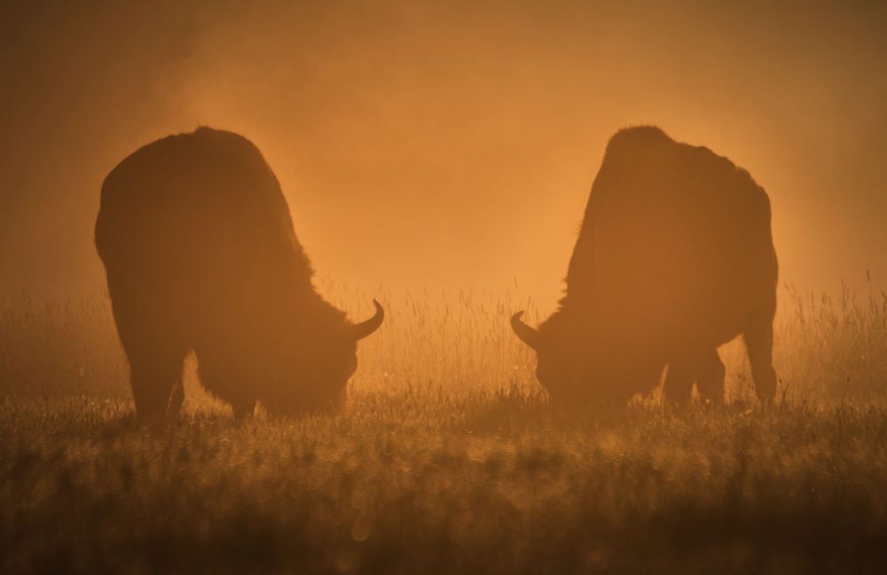 Photograph by Peter Hrubovsky